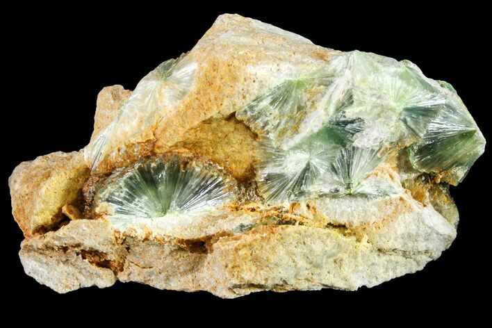 Radiating, Green Wavellite Crystal Aggregation - Arkansas #163069